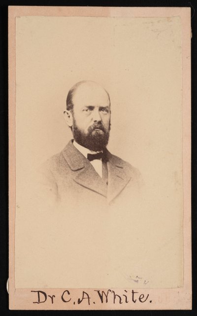 صورة تشارلز أبياثار وايت 1826-1910 ، 1868. بواسطة إسحاق أوغسطس ويثربي