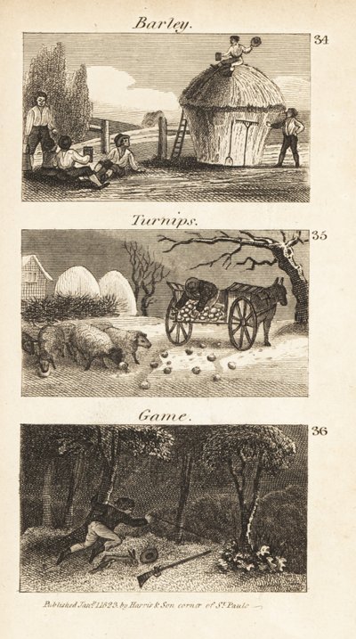 التجارة في نورفولك ، ريجنسي إنجلترا بواسطة إسحاق تايلور