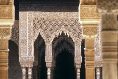 تفاصيل الأقواس في محكمة الأسود (صورة) بواسطة مدرسة إسلامية