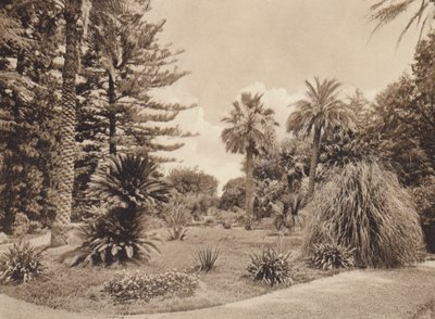  بواسطة مصور إيطالي