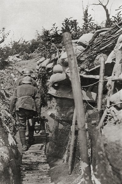The passage through the trenches in Mount Podgora, Italy بواسطة مصور إيطالي