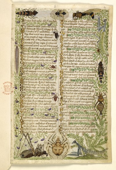 أضف MS 28841 f.006r أوراق من أطروحة نثرية عن الرذائل السبعة وبيت عن أحداث من تاريخ صقلية في زمن فريدريك الثاني ، بقلم كوتشاريلي ، حوالي 1330-40 بواسطة المدرسة الايطالية