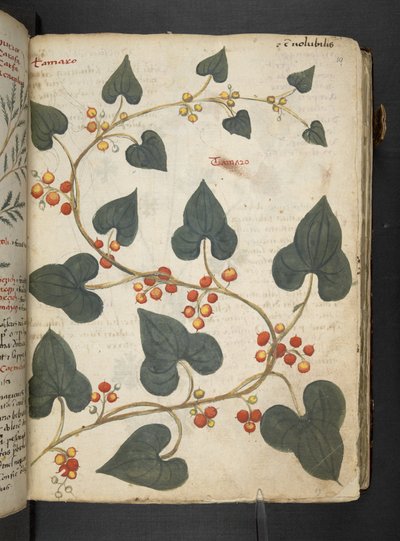 أضف MS 41623 