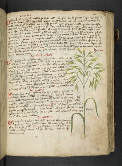 أضف MS 41623 "A herbal"، Belluno (حبر ولون على ورق) بواسطة المدرسة الايطالية