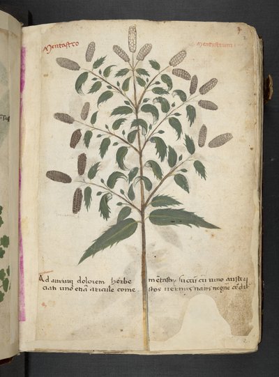 أضف MS 41623 