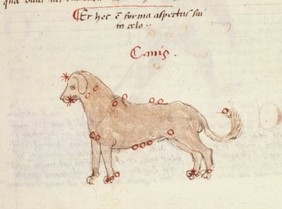 كوكبة الكلب (كانيس). صورة مصغرة من "" Astronomica "بيازينو دا بارما (بليز دي بارما) (1425-1457) بواسطة المدرسة الايطالية