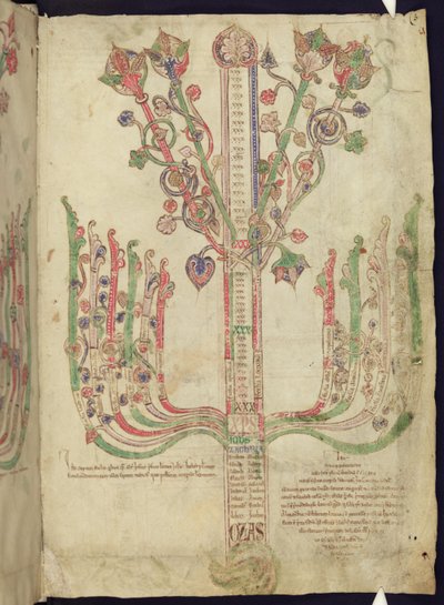 Corpus Christi Oxford MS 255A f.11r شجرة تصور الأنساب لأشكال الكتاب المقدس في العهد الجديد بواسطة المدرسة الايطالية