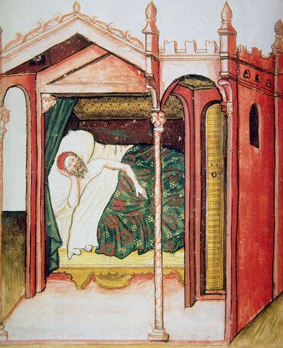 ورقة ١٠٠ و رقم Insomniac ، رسم توضيحي من Tacuinum Santiatis Codex Vindobonensis بواسطة المدرسة الايطالية
