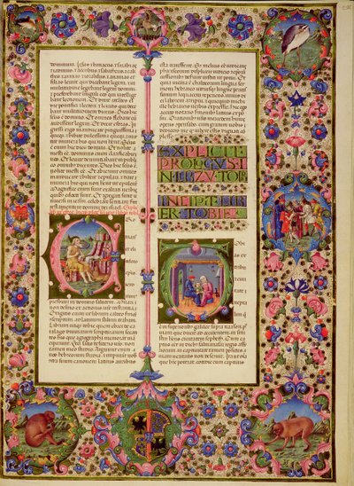 Fol.212r كتاب توبي ، من الكتاب المقدس بورسو ديست. المجلد 1 (ورق) بواسطة المدرسة الايطالية