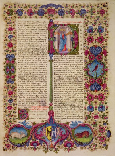 Fol.231r الرسالة الأولى من القديس بطرس إلى الرسل ، من الكتاب المقدس بورسو ديست. المجلد 2 (ورق) بواسطة المدرسة الايطالية