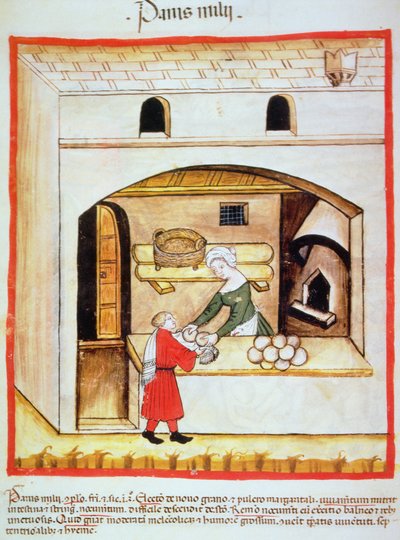 Fol.64v تحضير خبز الدخن ، رسم توضيحي من Tacuinum Santiatis Codex Vindobonensis بواسطة المدرسة الايطالية