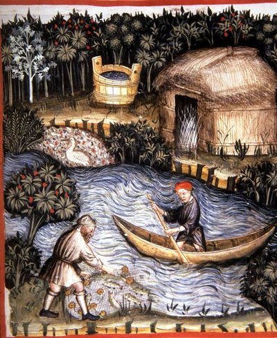 Fol.82r السمك الطازج ، رسم توضيحي من "Tacuinum Santiatis Codex Vindobonensis" (رق) بواسطة المدرسة الايطالية