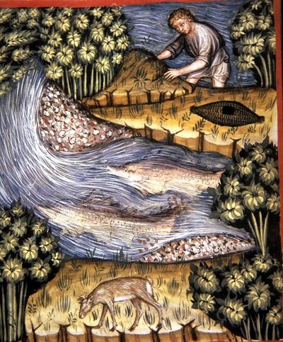 Fol.84v العنبر ، رسم توضيحي من "Tacuinum Santiatis Codex Vindobonensis" (ورق) بواسطة المدرسة الايطالية
