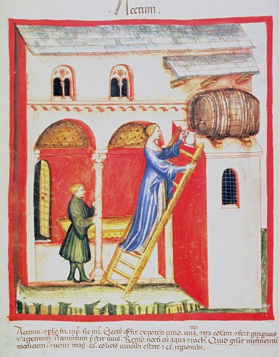 الورقة ٨٥ ظ في الخل ، رسم توضيحي من Tacuinum Santiatis Codex Vindobonensis بواسطة المدرسة الايطالية