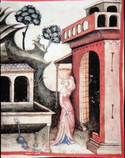 Fol.88v مياه الينابيع ، رسم توضيحي من "Tacuinum Santiatis Codex Vindobonensis" (رق) بواسطة المدرسة الايطالية