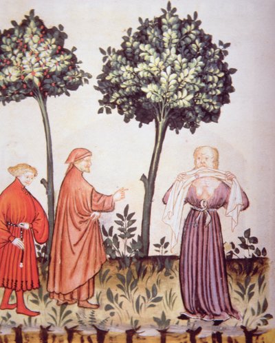 Fol.98v الكوليرا ، رسم توضيحي من Tacuinum Santiatis Codex Vindobonensis بواسطة المدرسة الايطالية