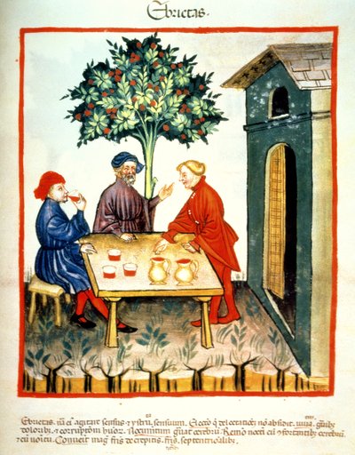Fol.99r السكر ، التوضيح من Tacuinum Santiatis Codex Vindobonensis بواسطة المدرسة الايطالية