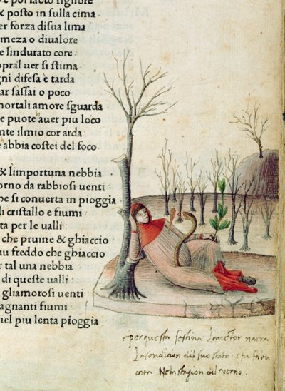 Fol. 52 و من "Canzoniere e Trionfi" بقلم بترارك ، حوالي 1470 بواسطة المدرسة الايطالية