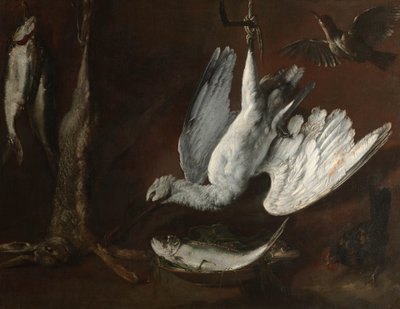 الأرنب ، Spoonbill ، والأسماك ، منتصف 1600s بواسطة المدرسة الايطالية