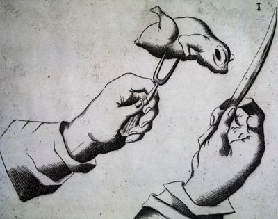 كيفية تقطيع الطيور ، رسم توضيحي من الأطروحات الثلاثة للميسر البافاري البافاري ماتيا جيغير ، آلة تمزيق أكثر الأمة الألمانية شهرة في بادوفا ، إيطاليا بواسطة المدرسة الايطالية