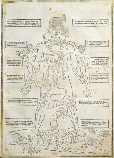 رسم توضيحي من "Fassiculus Medicinae" البندقية بواسطة المدرسة الايطالية