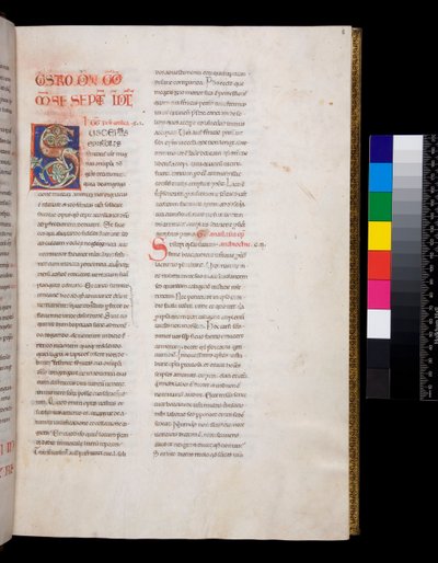 السيدة 143. غريغوري الكبير ، Registrum Epistolarum ، ص .8 ص. مزخرف [S] مبدئيًا بحشو ورق العنب الأبيض وتيجانه بواسطة المدرسة الايطالية