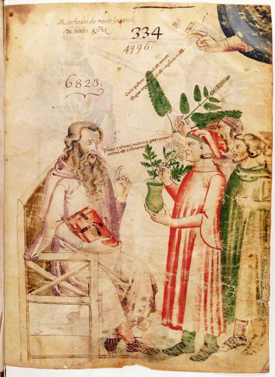MS 6823 fol.1 نساء يقدمن نباتات لرجل مجهول من الأعشاب بواسطة Manfred of Monte Imperial بواسطة المدرسة الايطالية