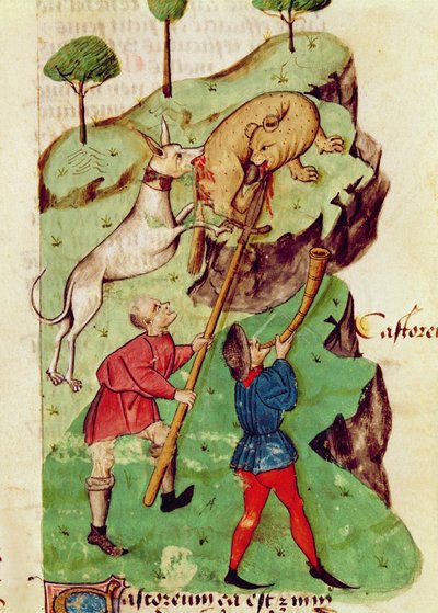 Ms Lat 993 fol.35r The Hunt ، من "Tractatus de Herbis" لديوسكوريدس (ورق) بواسطة المدرسة الايطالية