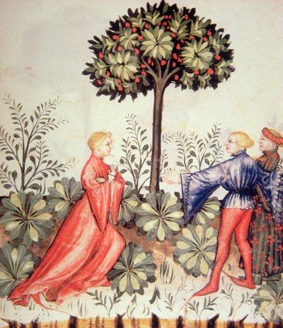 جديد 2644 fol.24r حصاد الخردل ، من Tacuinum الصحي بواسطة المدرسة الايطالية
