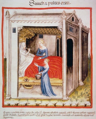 حساء الشعير الجديد 2644 fol.44v ، من Tacuinum الصحي بواسطة المدرسة الايطالية