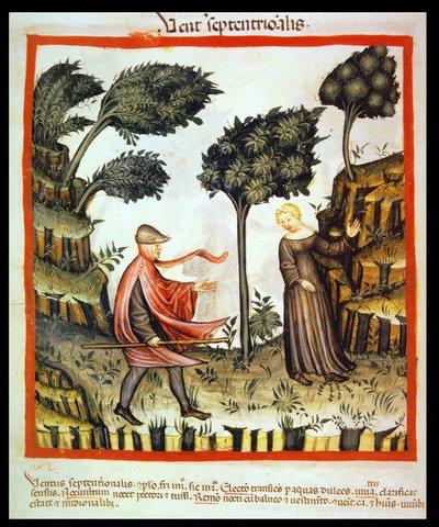جديد 2644 fol.58v الريح الشمالية ، من Tacuinum صحية بواسطة المدرسة الايطالية