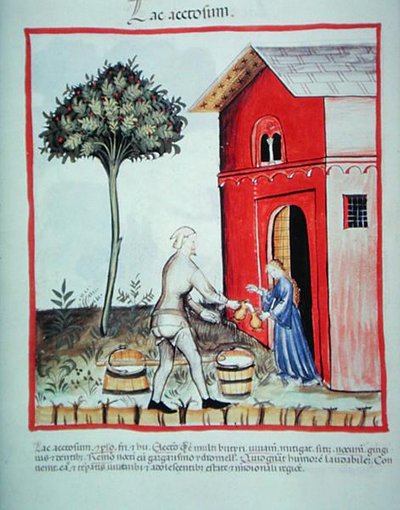 Nova 2644 fol.59v بيع الخثارة من 'Tacunum Sanitatis' (على ورق) بواسطة المدرسة الايطالية