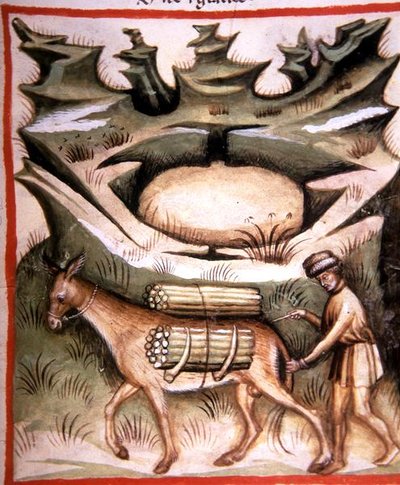 Nova 2644 fol.90r Snow and Ice ، من "Tacunum Sanitatis" (على ورق) بواسطة المدرسة الايطالية