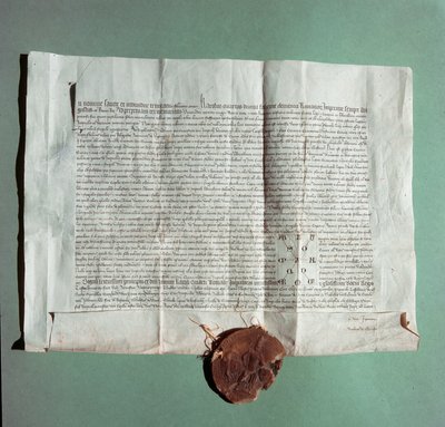 وثيقة رسمية للإمبراطور تشارلز الرابع (1316-1378) تثبت رسميًا أن جامعة سيينا (Universita di Siena) هي الجامعة العامة " بواسطة المدرسة الايطالية