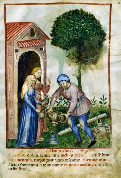 Olive oil, miniature from Tacuinum Sanitatis, Latin edition بواسطة المدرسة الايطالية