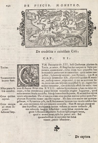 التاريخ في الصفحة 740 من الشماليين من قبل ماغنوس أولوس ، روما 1565 (طباعة ونقش) بواسطة المدرسة الايطالية