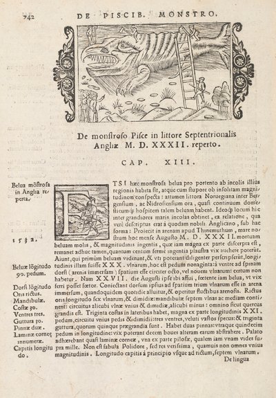 التاريخ في الصفحة 742 من الشماليين من قبل ماغنوس أولوس ، روما 1565 (طباعة ونقش) بواسطة المدرسة الايطالية