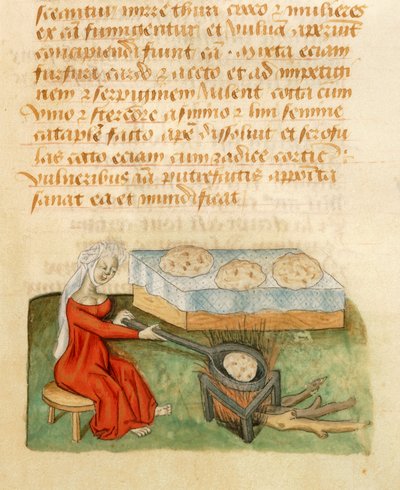 صفحة من Tractatus de Herbis بواسطة Dioscorides Pedanius بواسطة المدرسة الايطالية