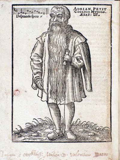 صورة Adrianus Petit Coclico (1500-1562) ملحن عصر النهضة الهولندي. بواسطة المدرسة الايطالية