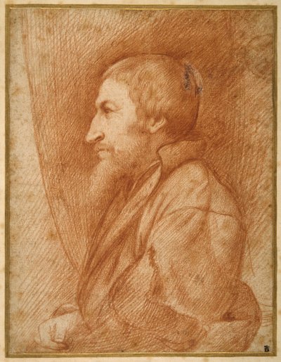Profile portrait (self portrait?) of a bearded man (red chalk on paper) بواسطة المدرسة الايطالية