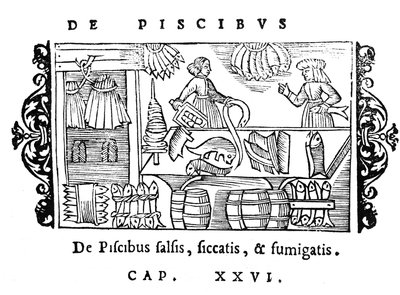 تمليح وتجفيف وتدخين الأسماك من تاريخ الشعوب الشمالية بواسطة Olaus Magnus (1490-1558) ، نشر في روما ، 1555 بواسطة المدرسة الايطالية