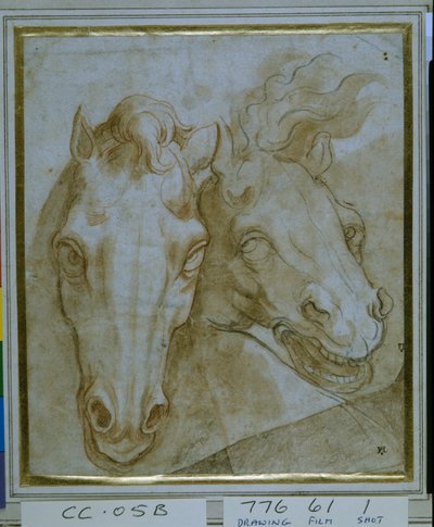 Studies for the heads of two horses (black & red chalks on paper) بواسطة المدرسة الايطالية