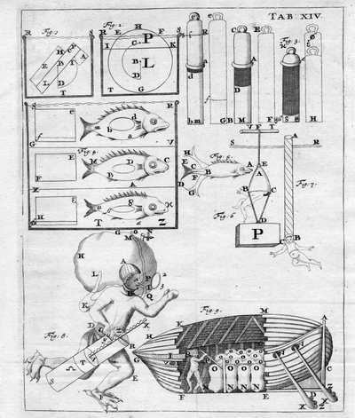 دراسات حول الملاحة تحت الماء - في "حركة الحيوانات" بقلم جيوفاني ألفونسو بوريلي (1608 - 1679) بواسطة المدرسة الايطالية