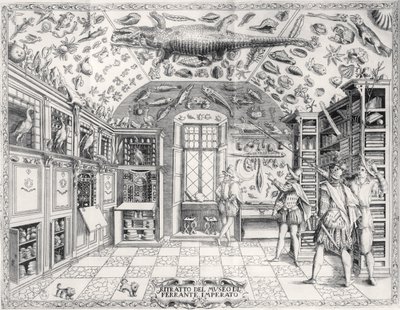 متحف التاريخ الطبيعي للإمبراطور فرديناند الثالث من هيستوريا ناتورالي بواسطة حانة Ferrante Imperato (1550-1631). عام 1672 بواسطة المدرسة الايطالية