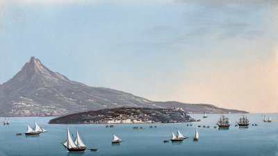View of Naples (gouache) بواسطة المدرسة الايطالية