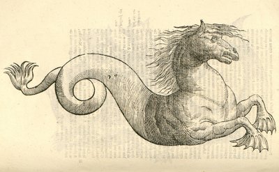 رسم توضيحي ل Equus marinus monstrosus من Aldrovandis تاريخ الوحوش ، 1642 بواسطة المدرسة الايطالية
