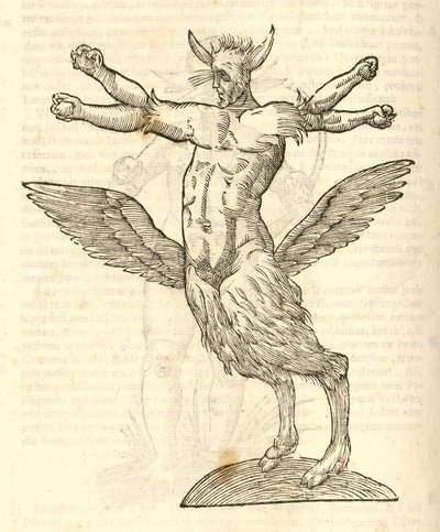 tetrachiron التوضيح الوحش المجنح للإنسان الأذن من kazakovae تاريخ الوحوش ، 1642 بواسطة المدرسة الايطالية