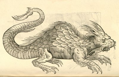 رسم توضيحي لتماثيل Orobonis Piscis من تاريخ Aldrovandis من الوحوش ، 1642 بواسطة المدرسة الايطالية