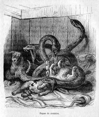 احجز أعدائنا بواسطة جي جيرلير