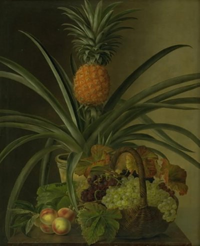 أناناس وفواكه أخرى بواسطة J.L. Jensen